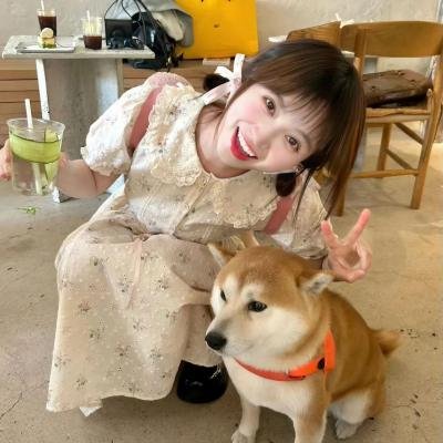 五福临门团综·友福同享