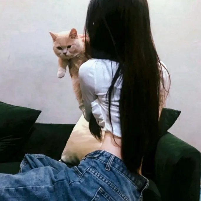 舞感青春